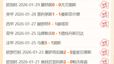 “林良铭进球揭示球队防守缺陷，遭遇败局”