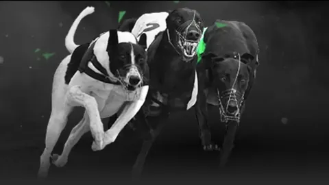 郑钦文迪拜赛首秀，今夜携手Queen Wen力克斯特恩斯！