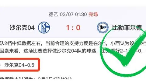 大乐透期号专家推荐：主队附加赛前景分析