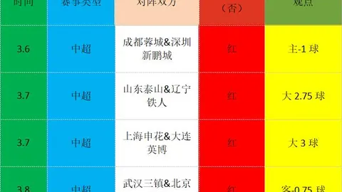 国安新援斯帕吉奇将迎首秀，周末申花之战有望登场亮相